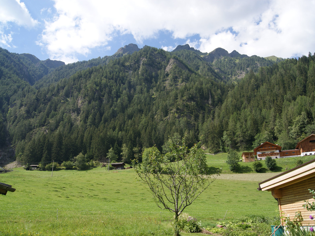 Pensione Graushof主图