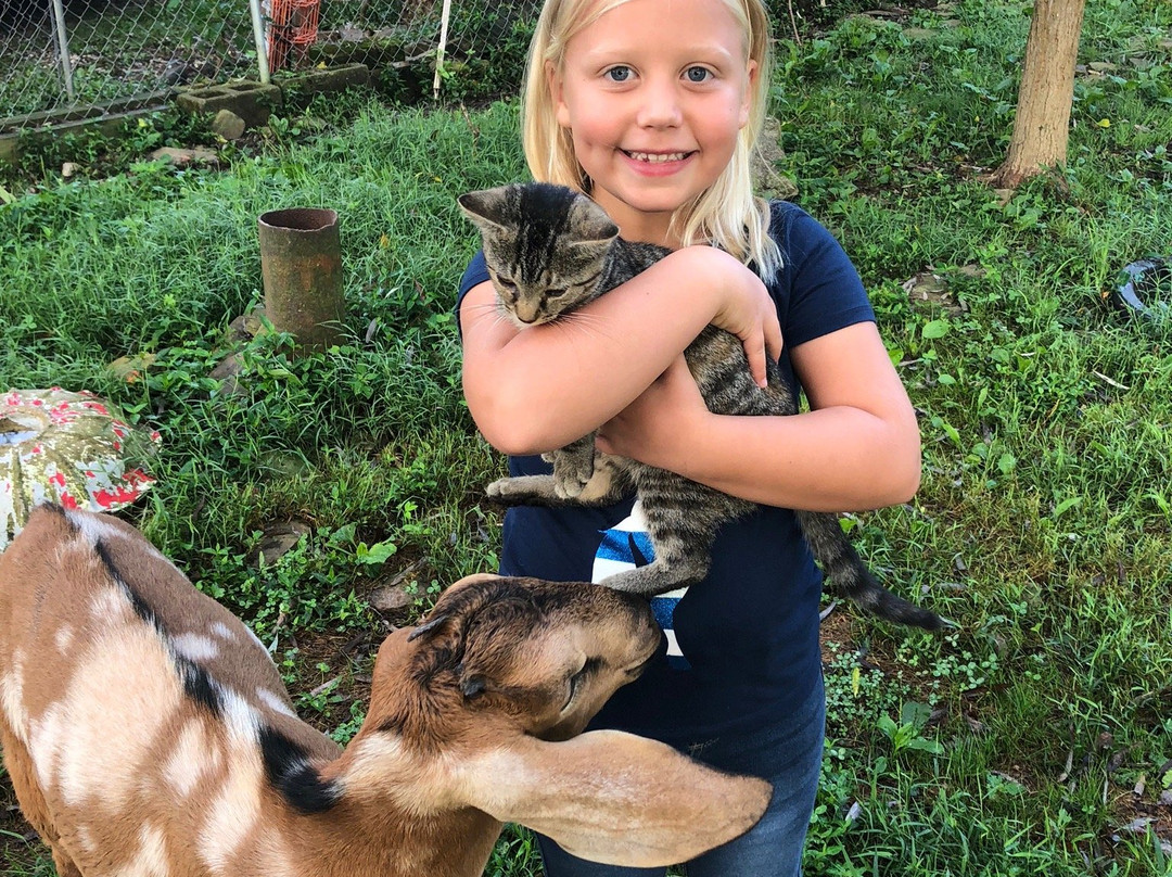 Just Kik-N-It Ranch Outfitters-Livingston必去景点