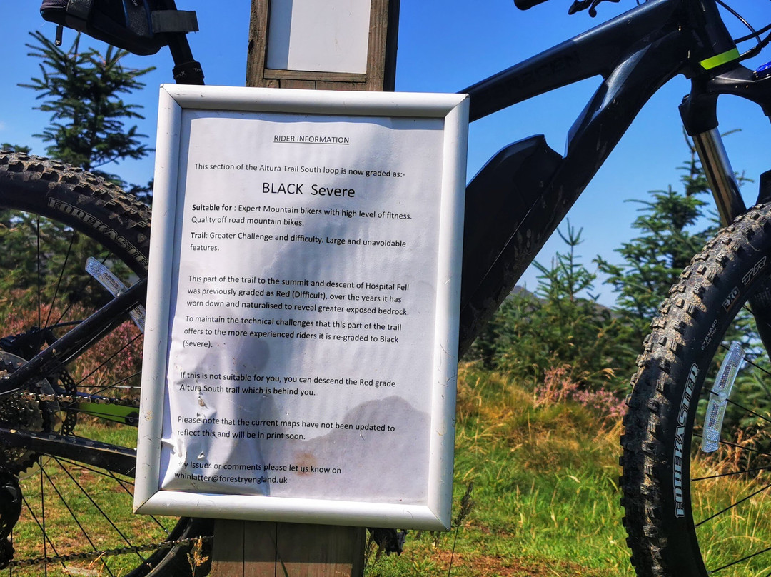 Whinlatter Bikes-凯瑟克必去景点