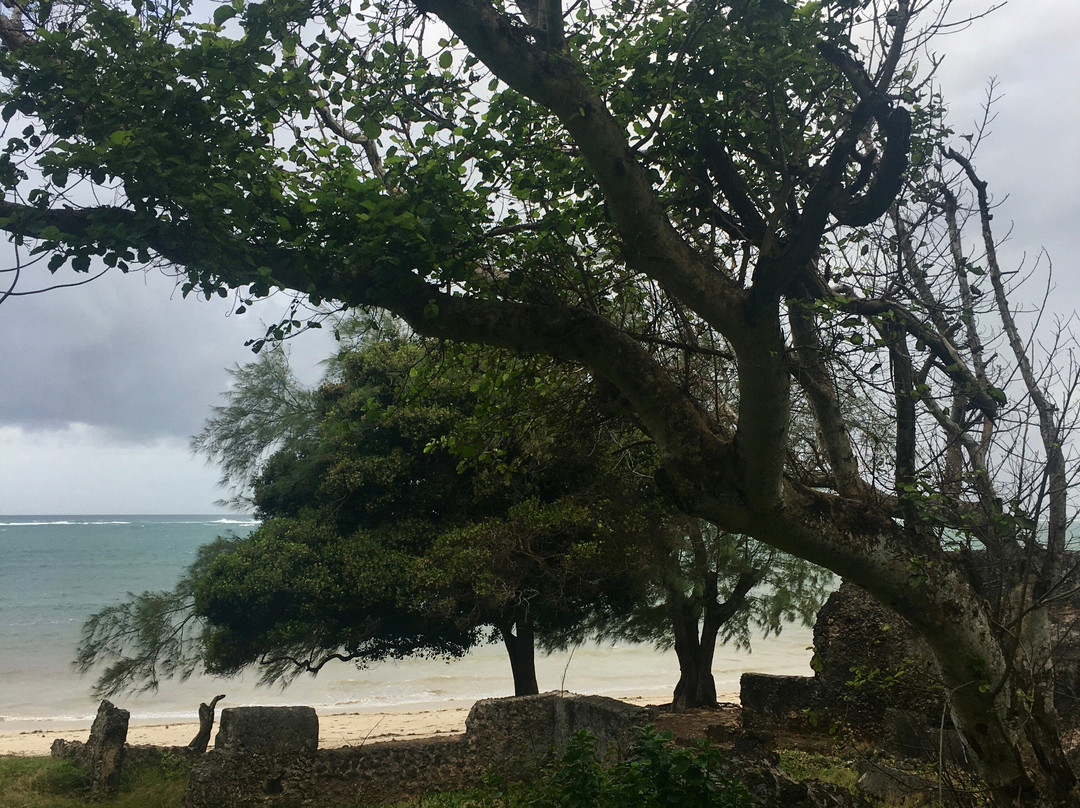 Jumba la Mtwana-蒙巴萨必去景点