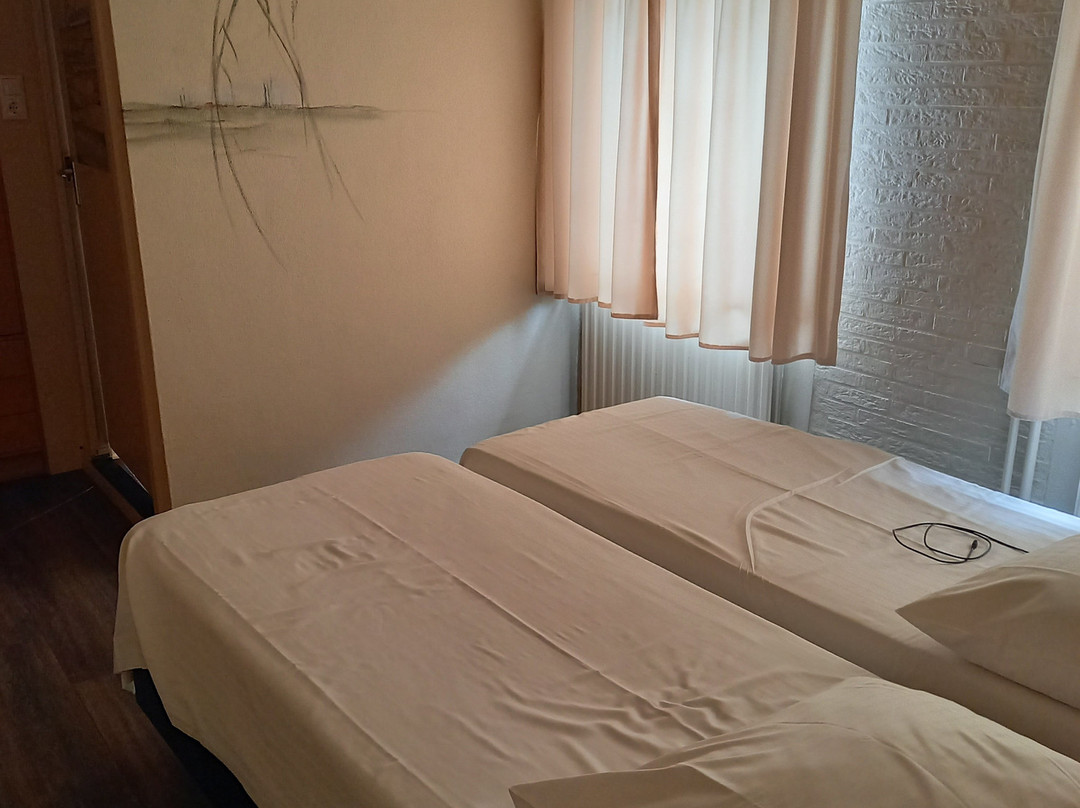 Hotel Het Witte Huis主图
