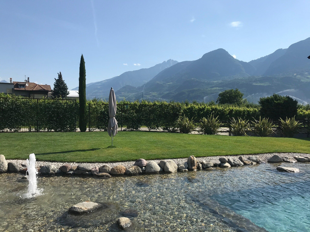 Im Tiefenbrunn主图