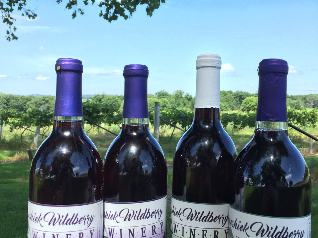 Winneshiek Wildberry Winery景点图片