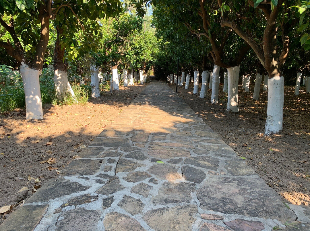 Perleas Mansion主图