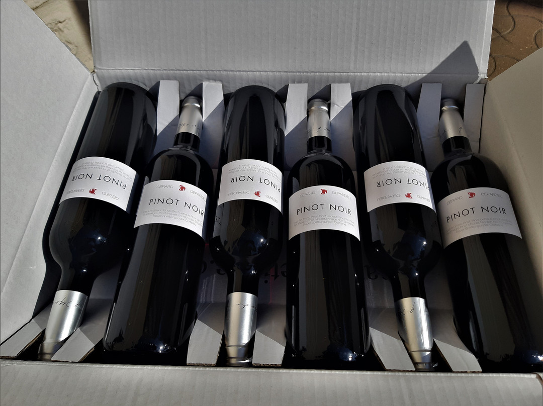 Château de Tigné Vins Gérard Depardieu景点图片
