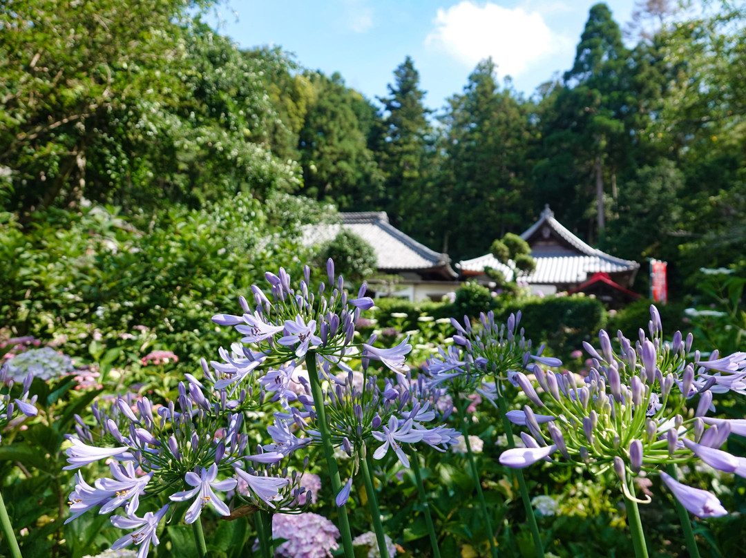 Gokuraku-ji Temple-森町必去景点