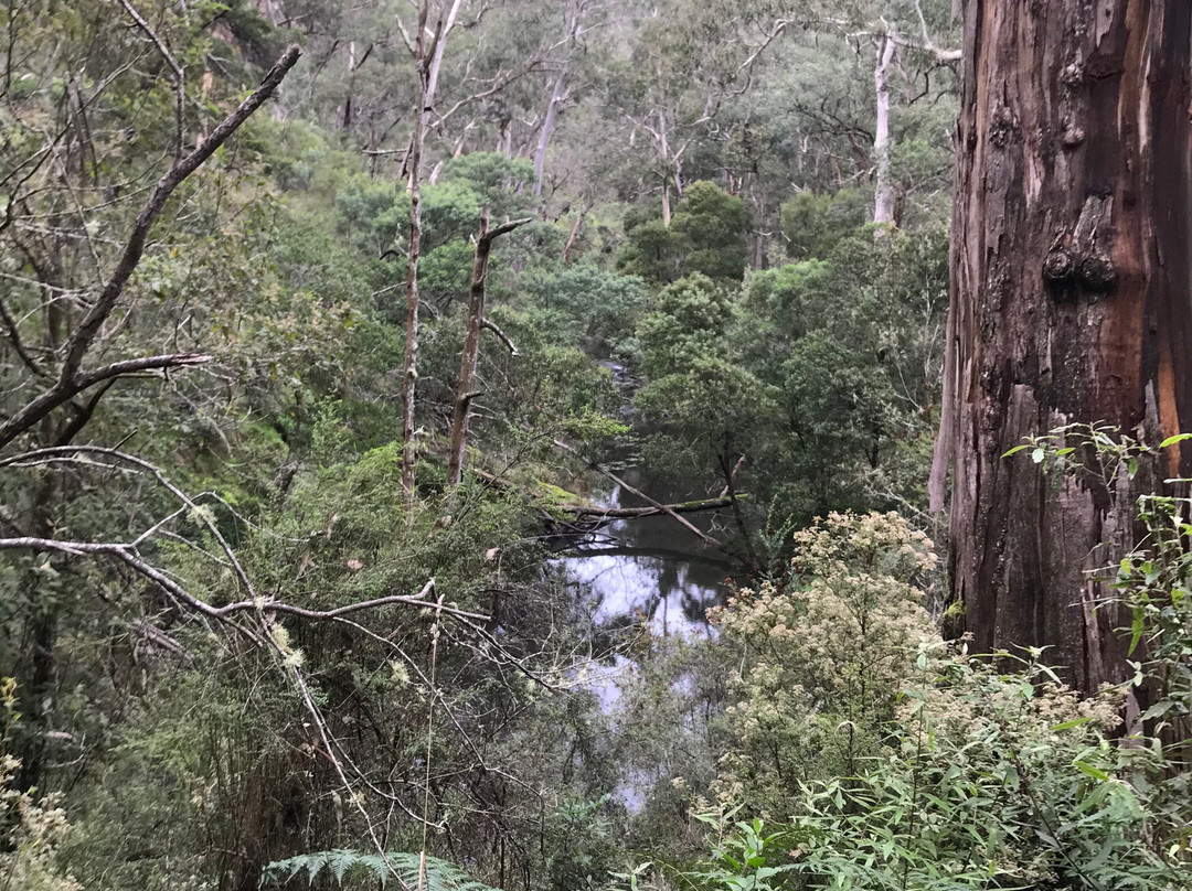 St Georges River Walk-洛恩必去景点