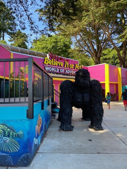 Ripley's Believe It or Not!-纽波特必去景点