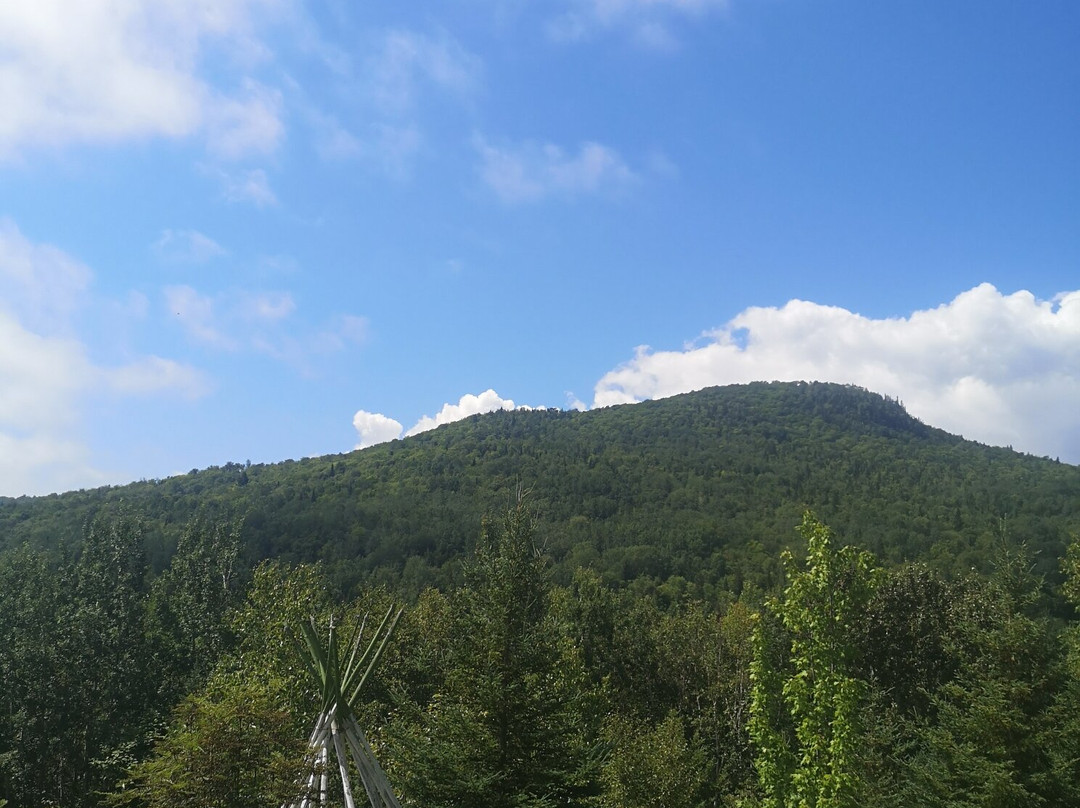 Auberge La Cote d'Or主图