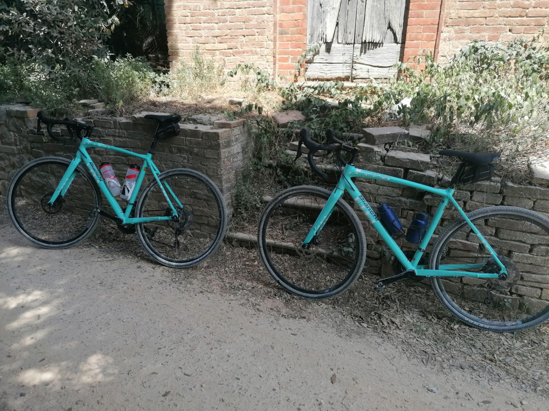 Siena Bike Shop-锡耶纳必去景点