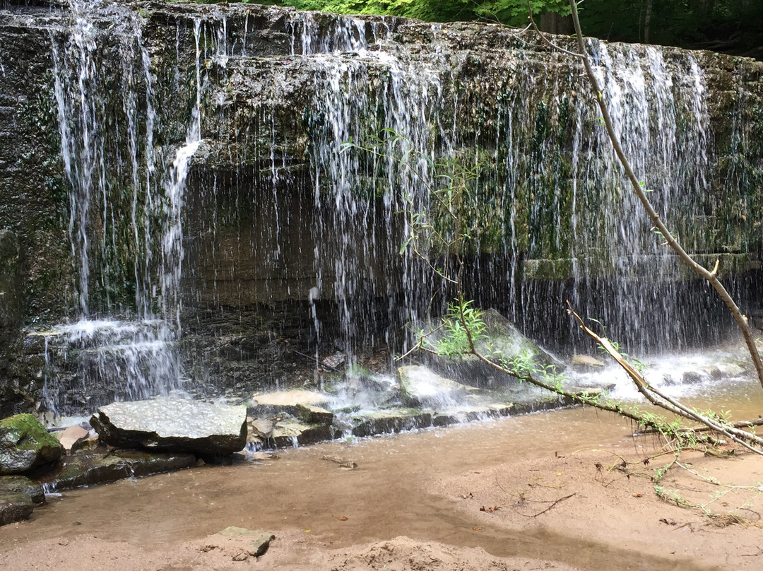 Nerstrand Big Woods State Park-Nerstrand必去景点