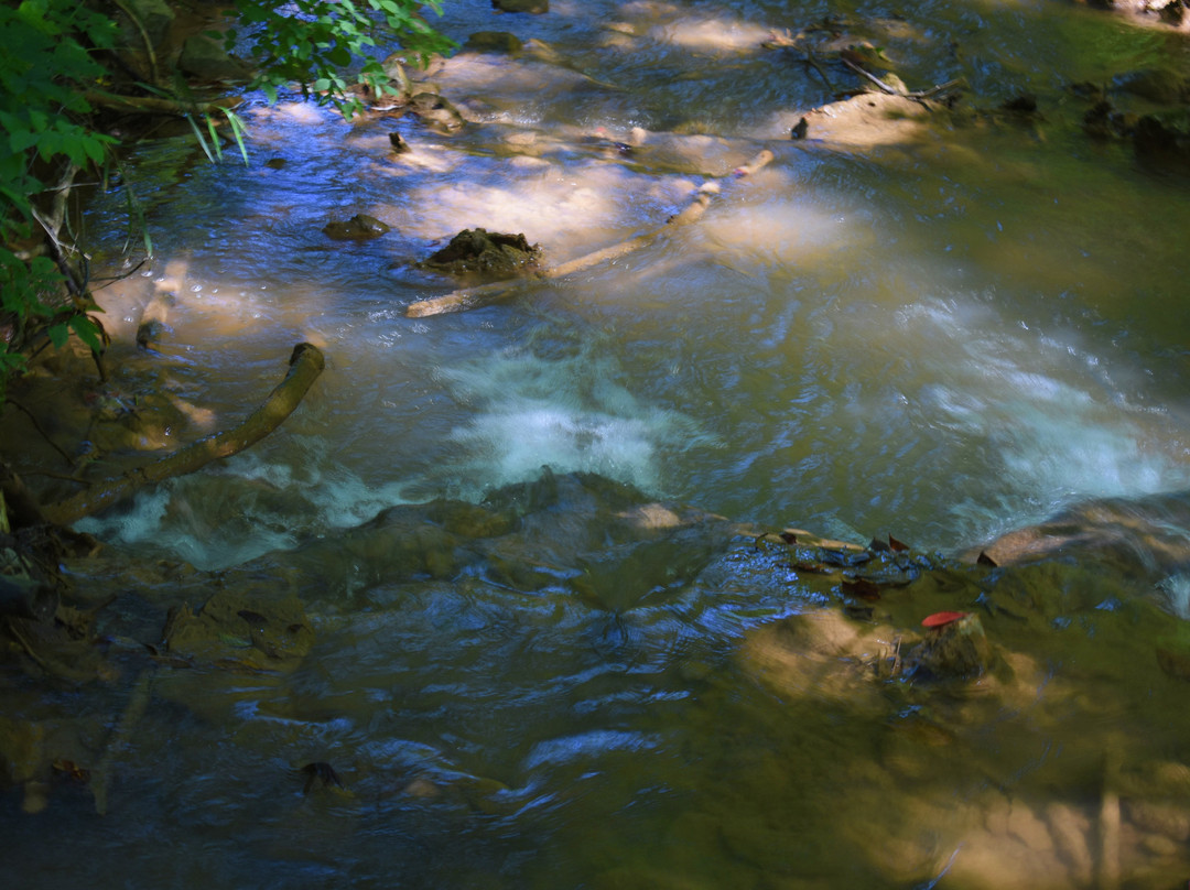 Falls Ridge Preserve-Elliston必去景点