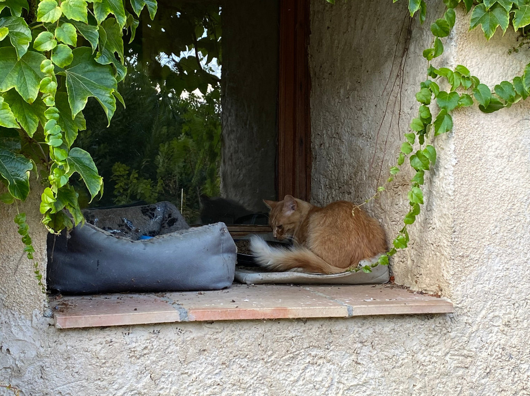 Domaine de Prefaissal主图