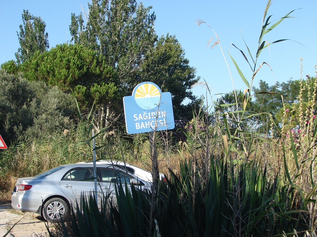 Sagir'in Bahcesi-博兹贾阿达必去景点