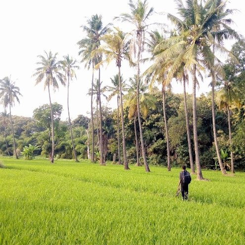Rau Eco & Cultural Tourism Enterprise-莫西必去景点