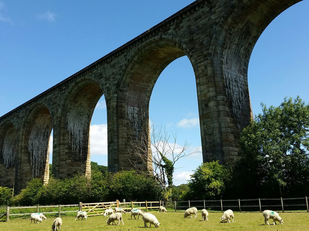 Ty Mawr Country Park景点图片