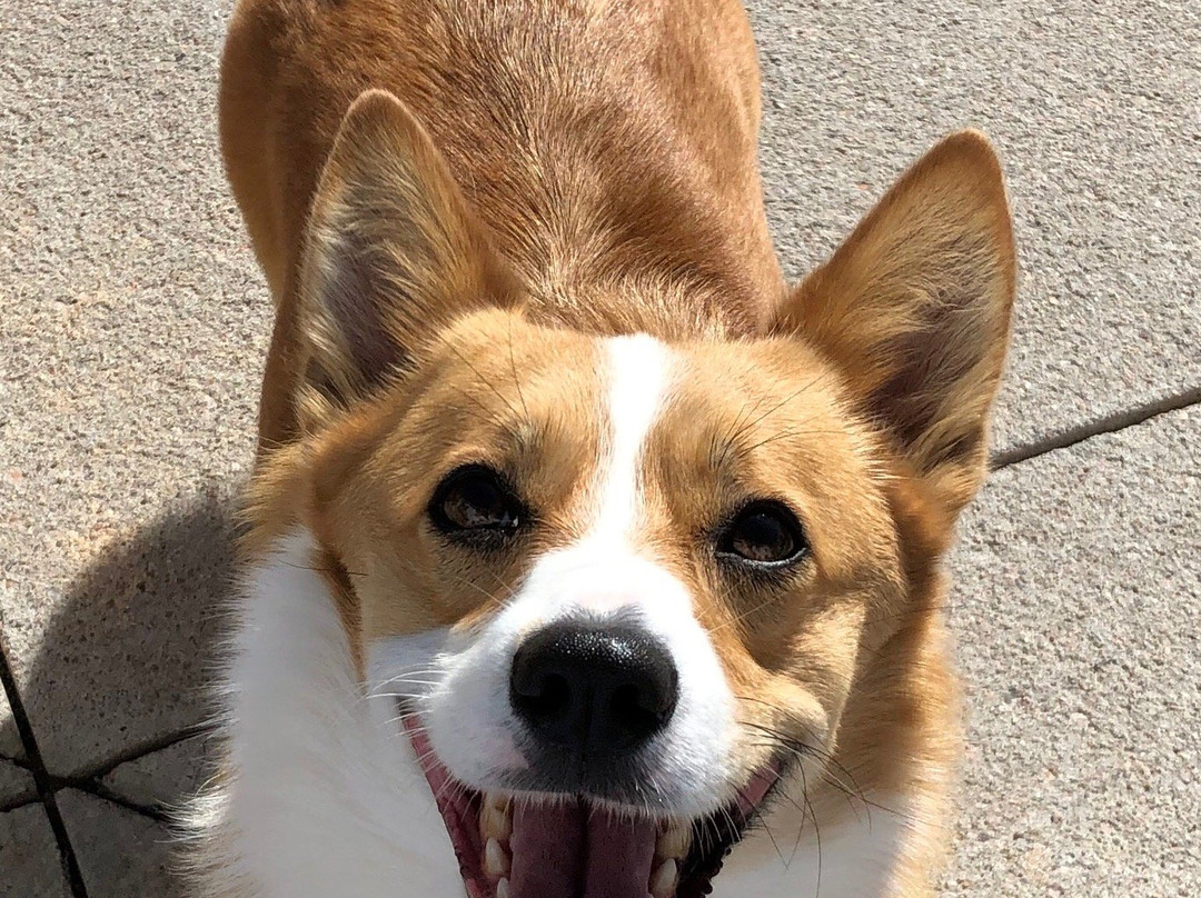 Cobblestone Inn & Suites - Holyoke主图