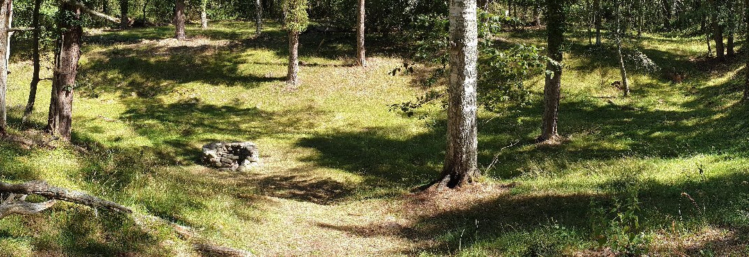 Naturum Trollskogen-Byxelkrok必去景点