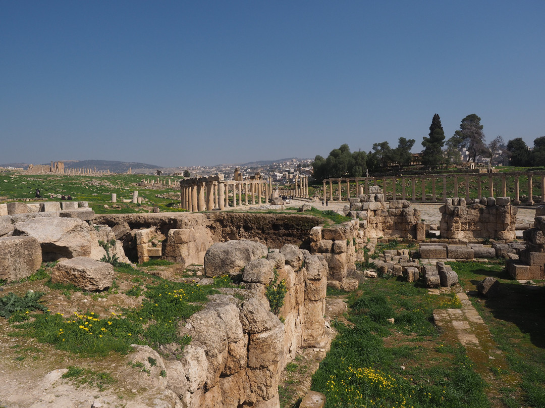 The Archeological Park-杰拉什必去景点
