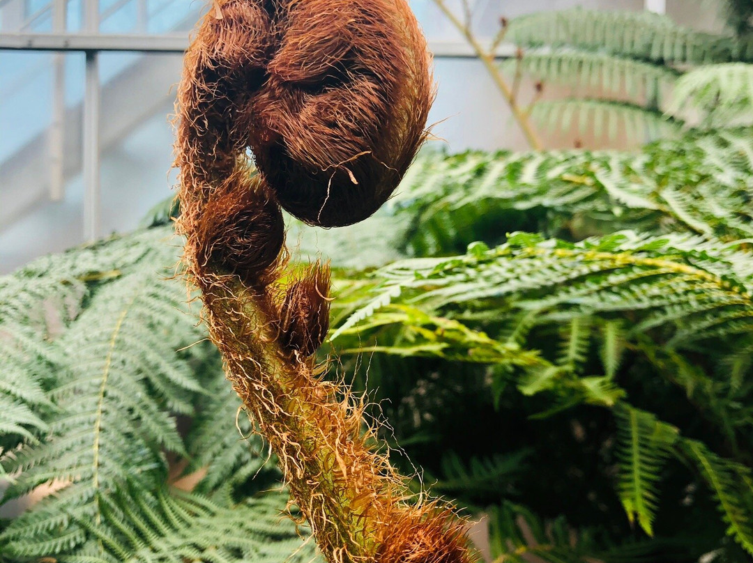 Tropical Garden Slovenia景点图片