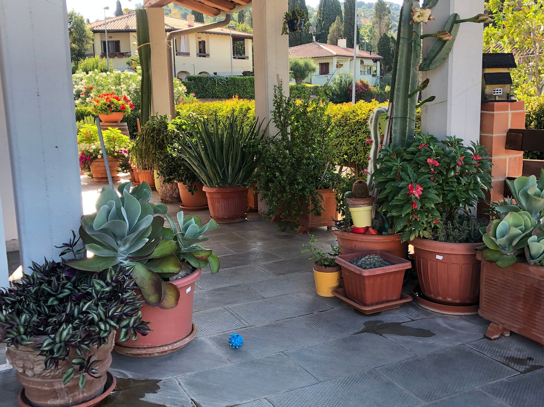 Marsiliana酒店住宿-La Villa - Affittacamere