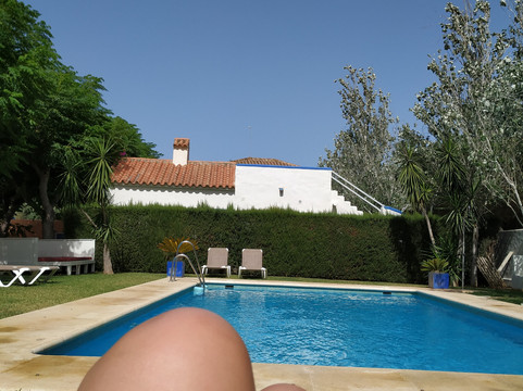 Paraiso Perdido主图