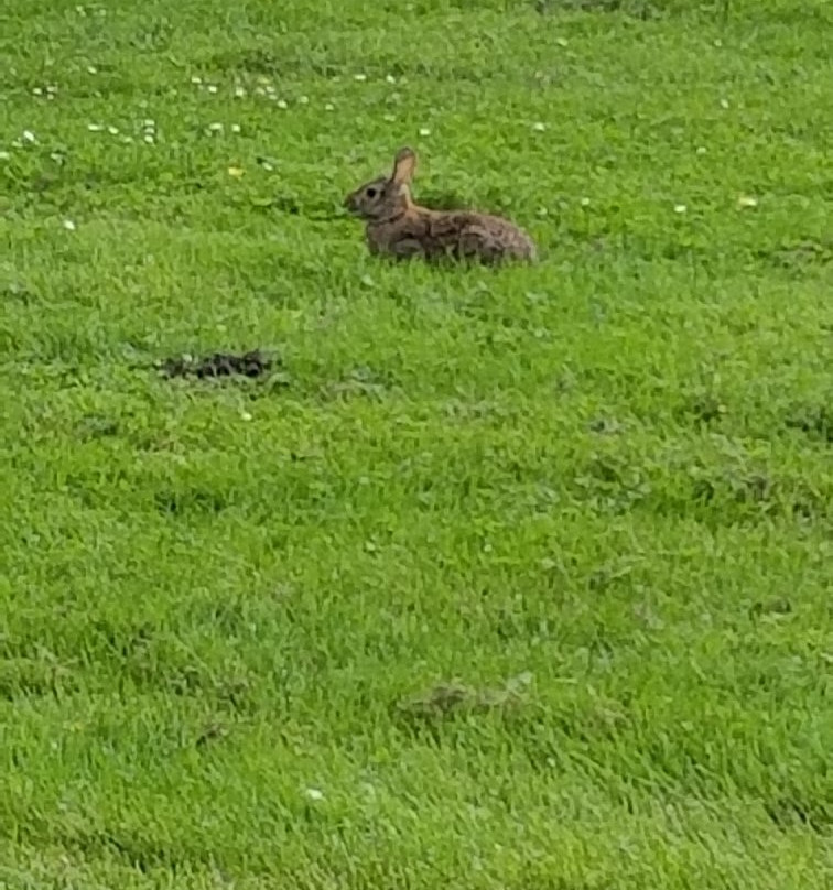 Bear Creek Park-素里必去景点
