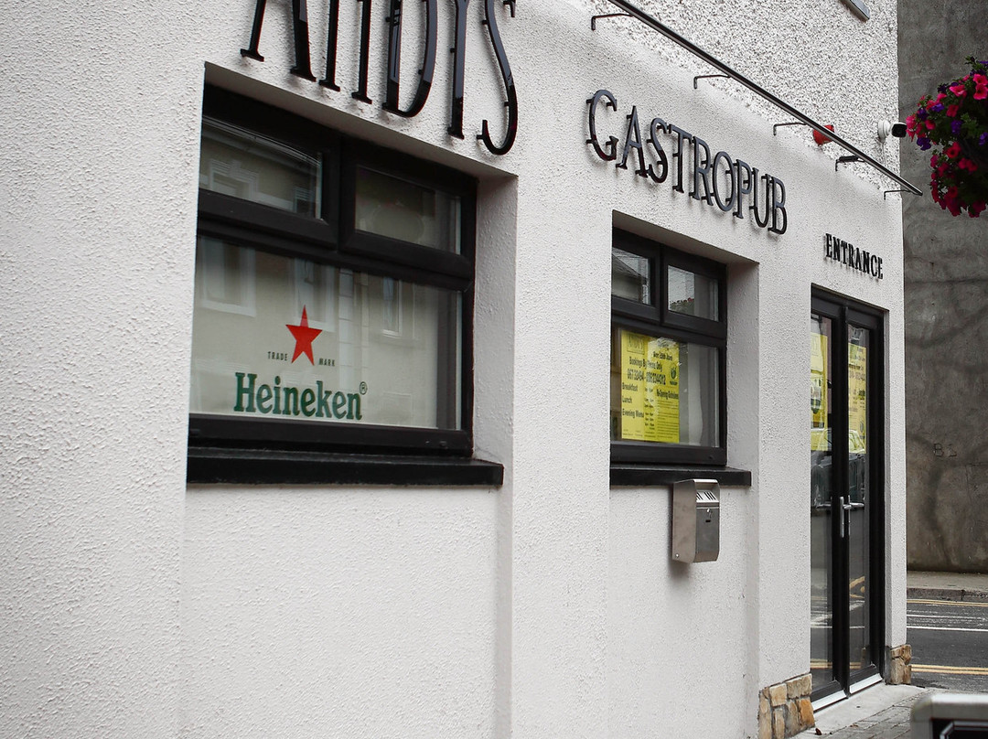 Andy's Gastro Pub B&B主图