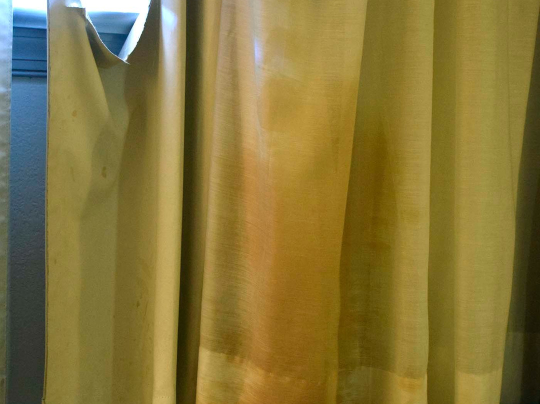 Rodeway Inn & Suites Williamsburg Central主图