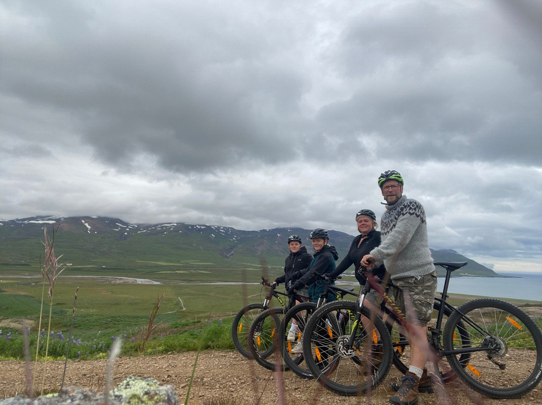 Fjord Bikes-Borgarfjordur Eystri必去景点