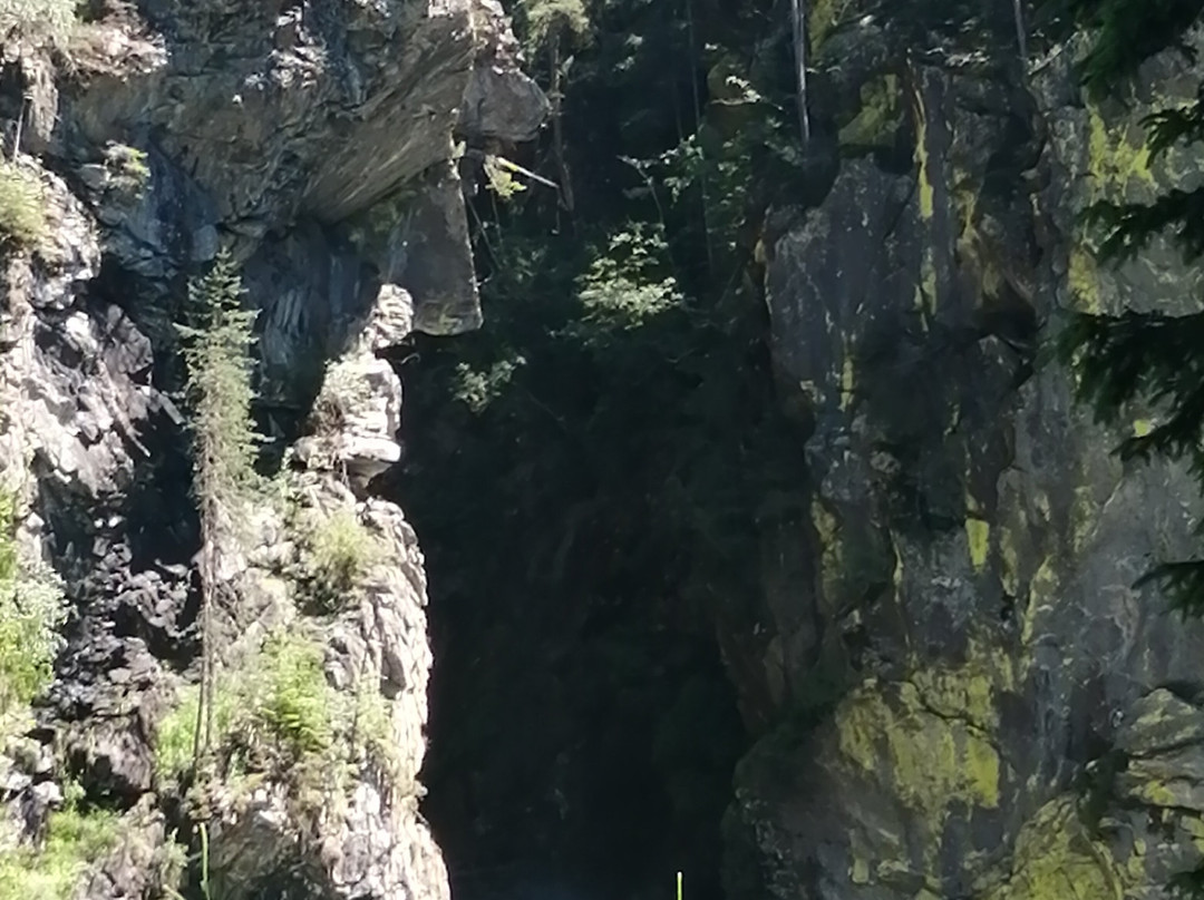 Alphotel Stocker主图