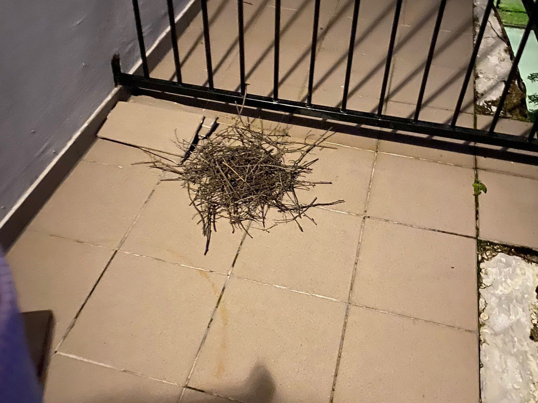 Amber Blue Wellness & Spa主图