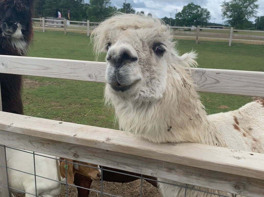 Up North Farm Market-Hart必去景点
