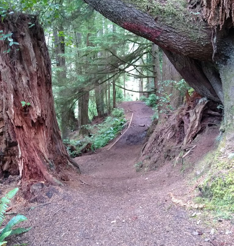 Crestline Park Woodland Trail-Waldport必去景点