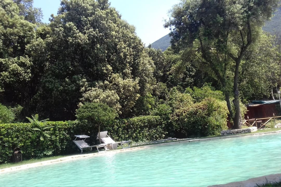 拿破仑尼科福蒂诺酒店主图