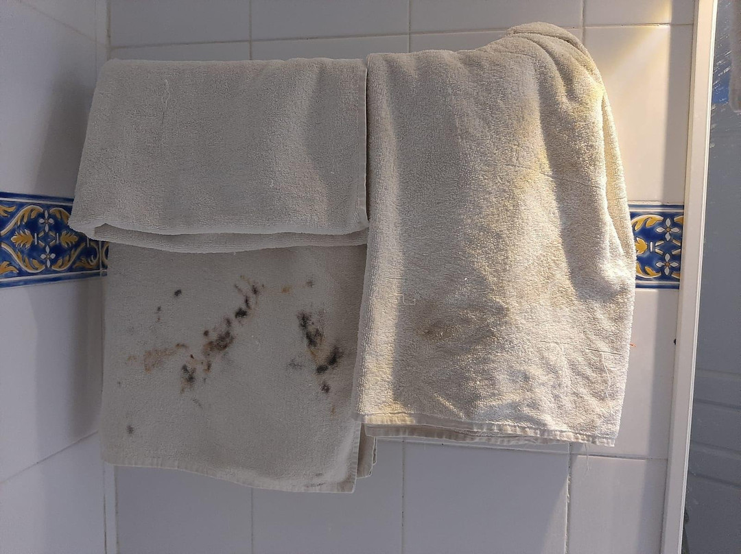 Caribbean World Hammamet Garden主图