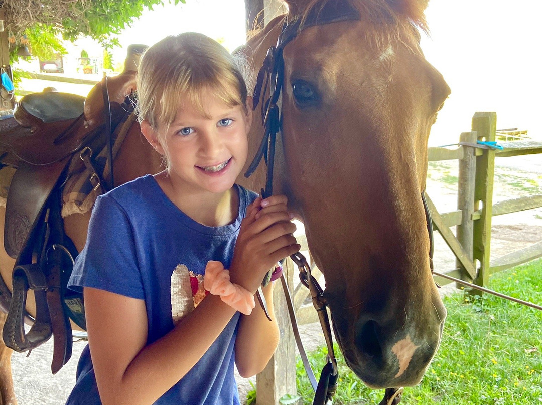 Amish Country Riding Stables-Millersburg必去景点