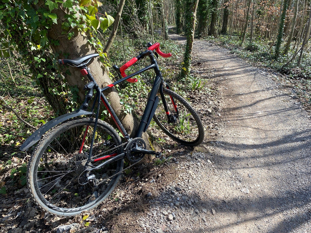 Leigh Woods - Forestry England-布里斯托尔必去景点