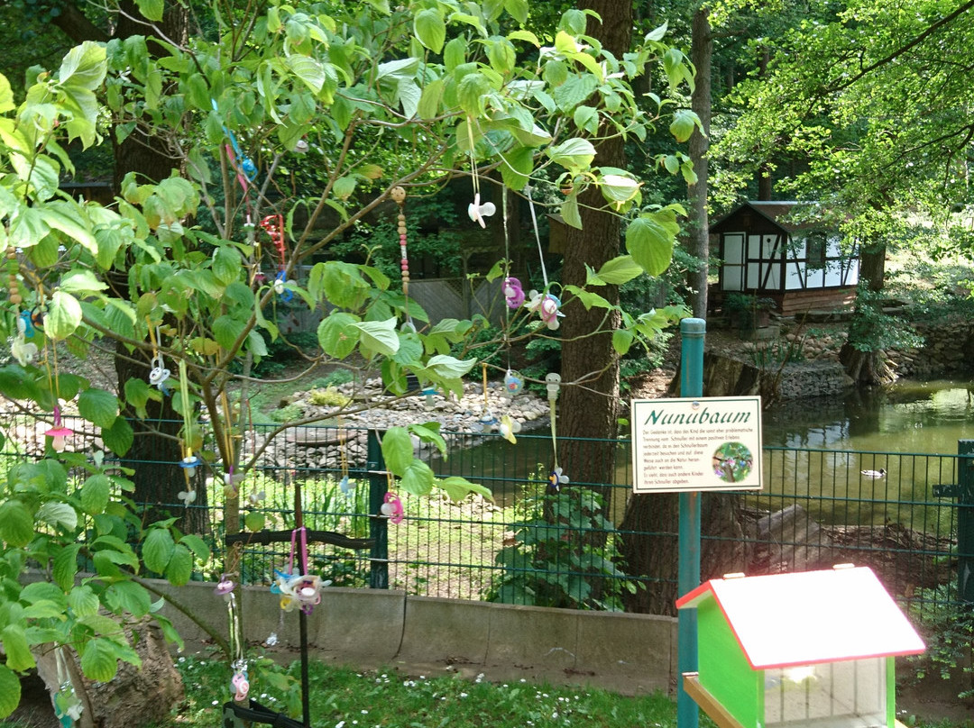 Wildpark Christianental景点图片