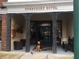 Commodore Hotel Linden-浴室