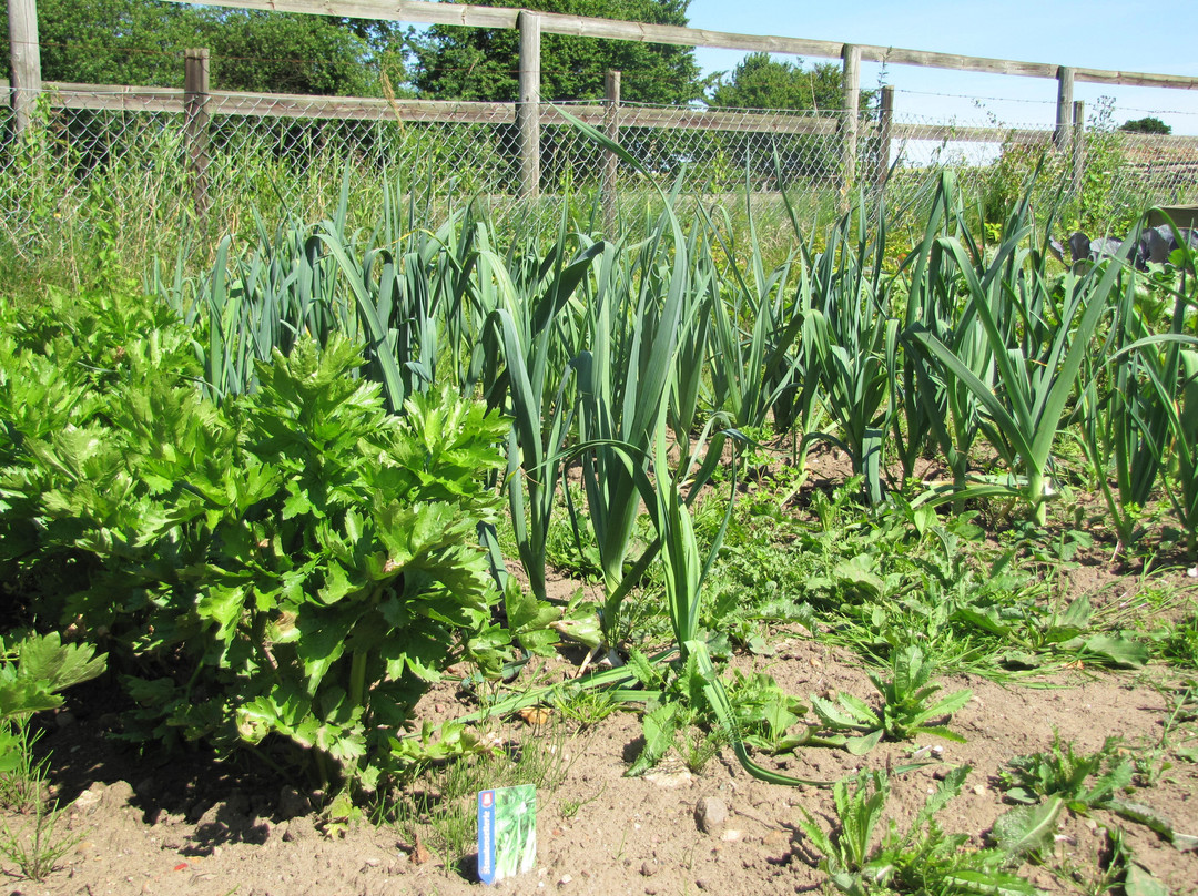 Bendfeld酒店住宿-Hotel Ole Liese