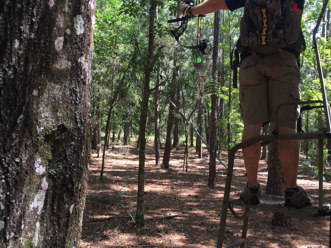 Tampa Bay Sporting Clays and Archery-Land O Lakes必去景点
