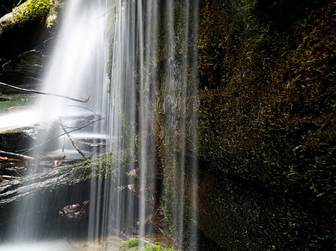 Angel Falls Trail景点图片