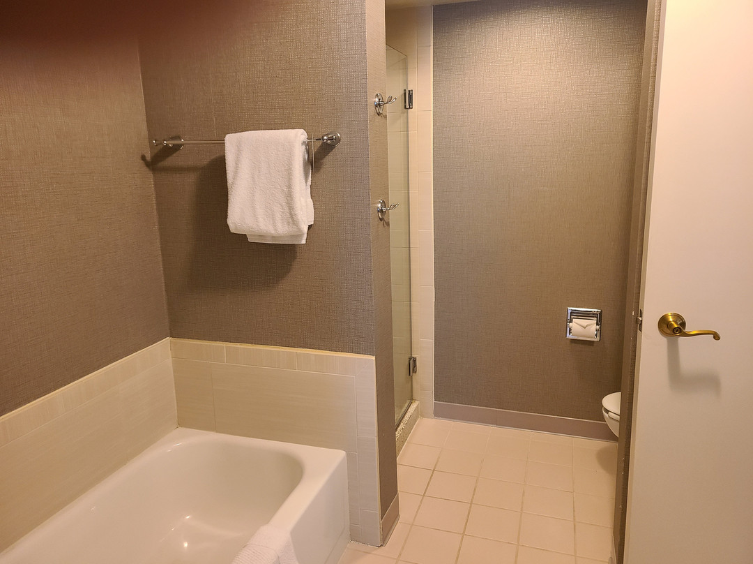 芝加哥迪尔菲尔德万豪酒店主图