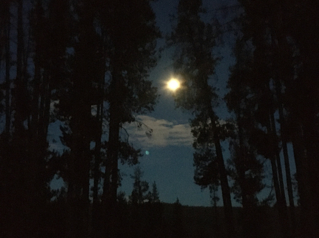 Redfish Lake Lodge主图