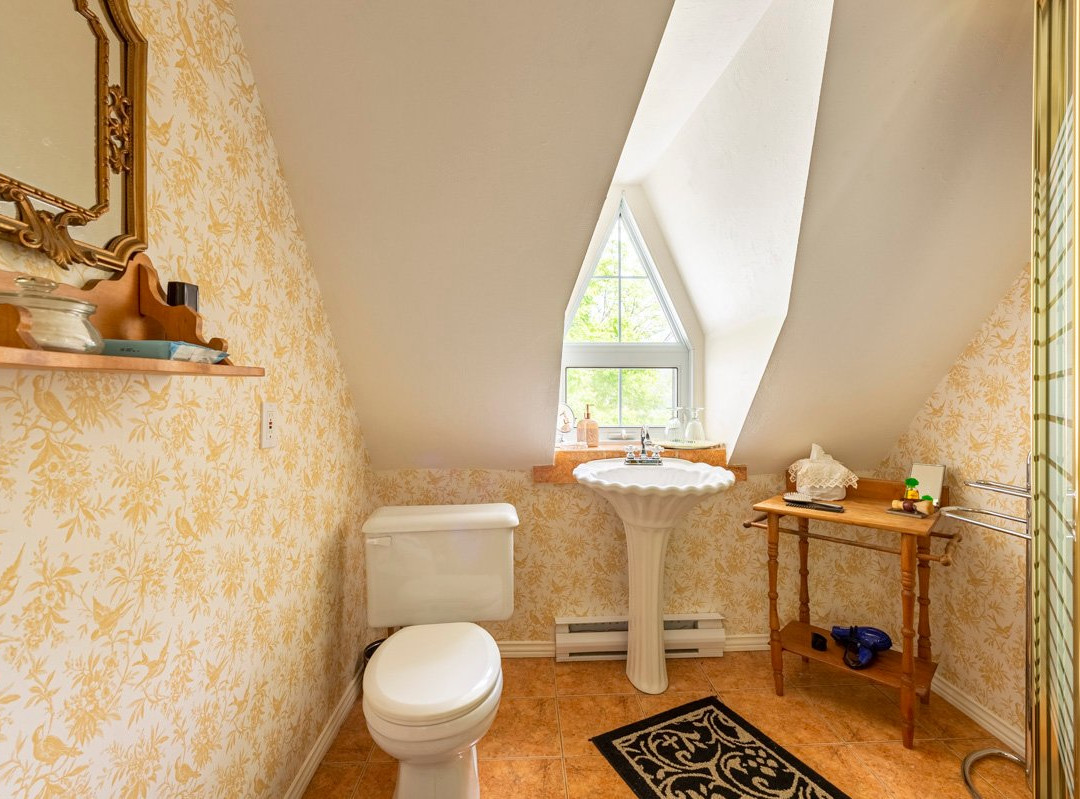 Au Manoir d'Irlande主图