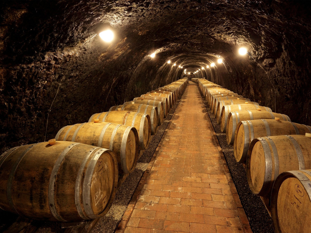 Dereszla Pinceszet-Bodrogkeresztur必去景点