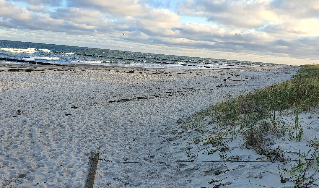 Seebrucke Zingst景点图片
