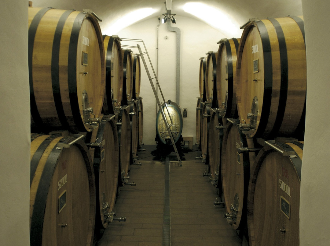 Muri-gries Tenuta | Cantina Convento-博尔扎诺必去景点