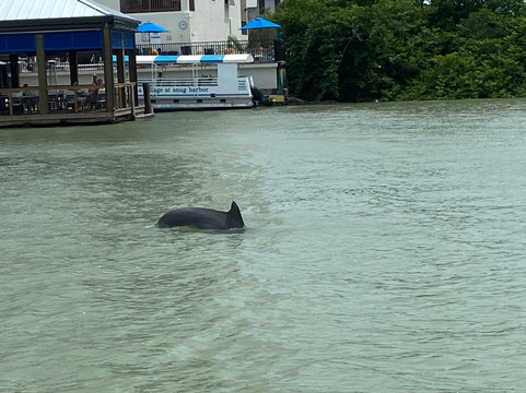 Sun-N-Fun Tours & Charters-迈尔斯堡海滩必去景点